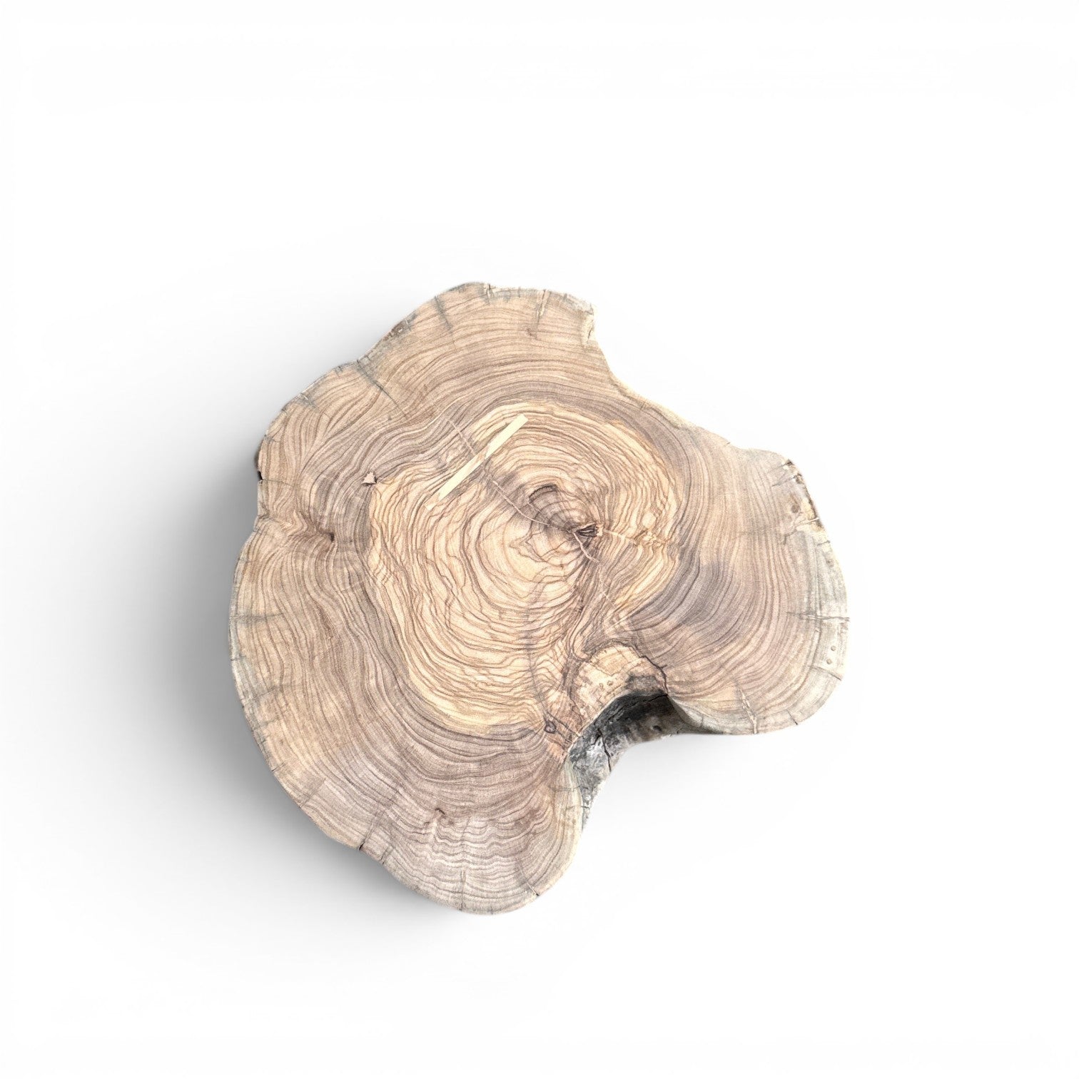 Ostebrædt 24 cm i oliventræ fra Andrea Brugi