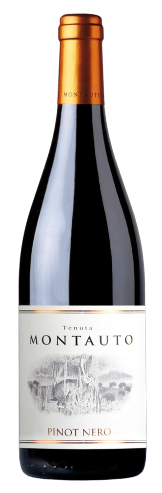 Pinot Nero fra Montauto